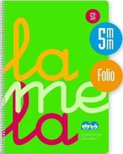 BLOC 80H 90G 5MM PLASTICO VERDE LAMELA