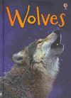 WOLVES BEGINNERS USBORNE