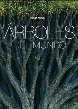 ÁRBOLES DEL MUNDO