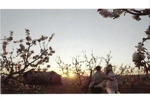 CANTO DE AMOR A LA VIDA