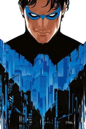 NIGHTWING VOL. 01: SALTAR A LA LUZ