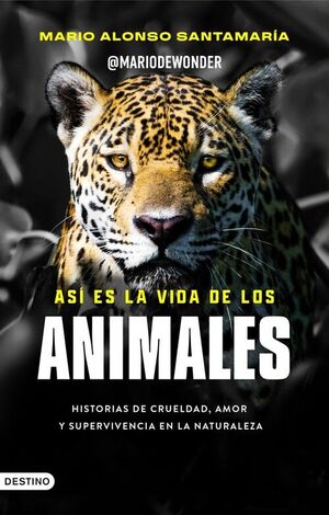 ASI ES LA VIDA DE LOS ANIMALES